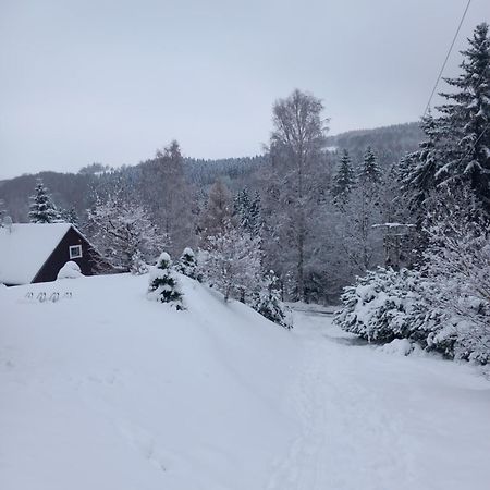 Villa Hygge chaloupka v horách Český Jiřetín Exterior foto