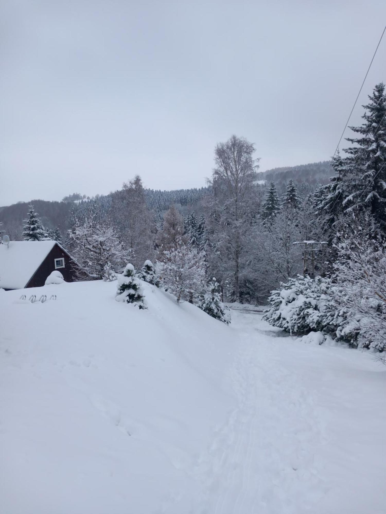 Villa Hygge chaloupka v horách Český Jiřetín Exterior foto